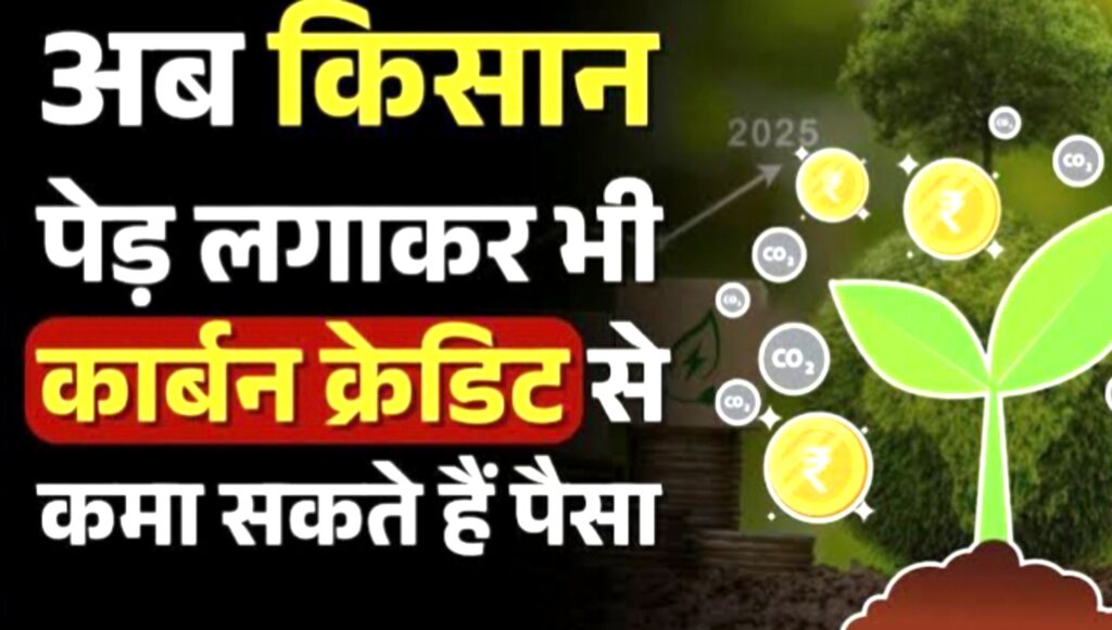 पेड़ लगाने पर मिलेंगे 10000 रुपये – यूपी सरकार की एडवांस भुगतान योजना से लाभान्वित किसान" पेड़ लगाने पर मिलेंगे 10000 रुपये – यूपी सरकार की एडवांस भुगतान योजना से लाभान्वित किसान"